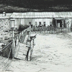 6.Woolshed and Branding Race Mt Poole.jpg