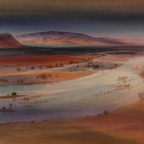 KJ Flood Waters on the Finke NT.jpg